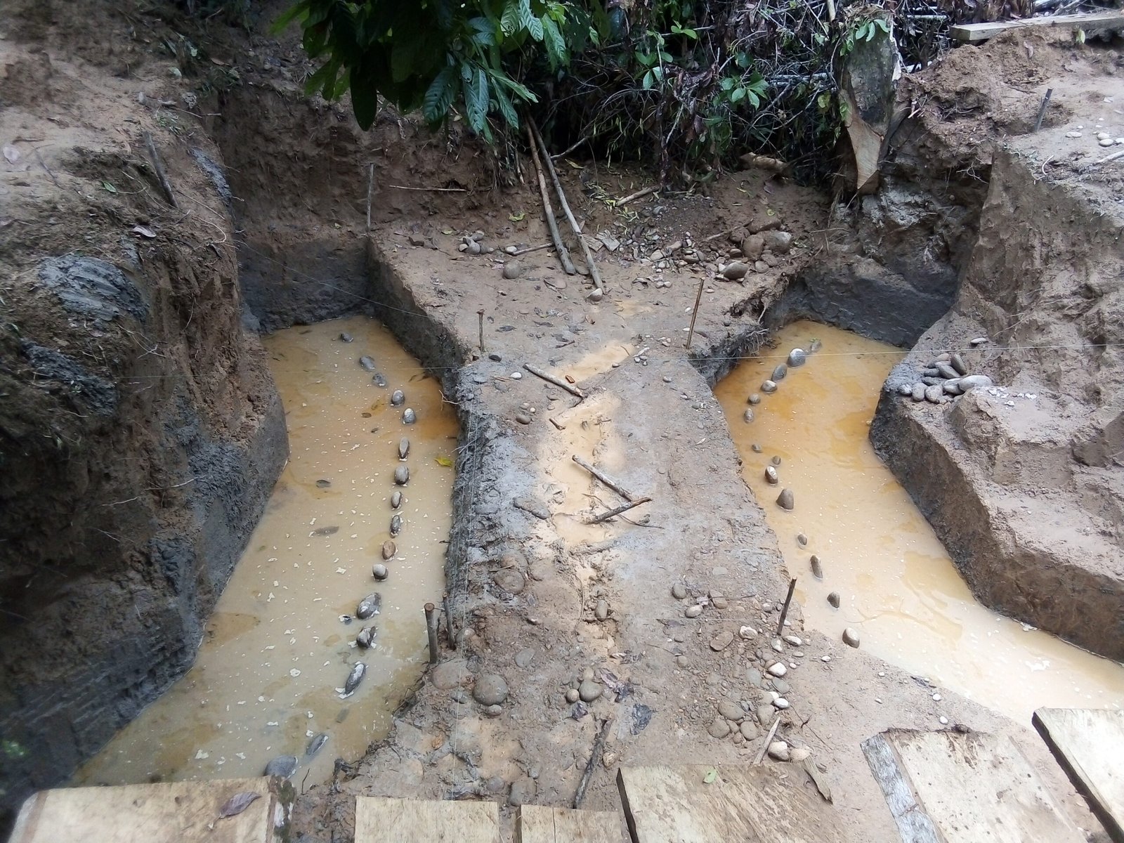 IMG_20201117_101607 scaled