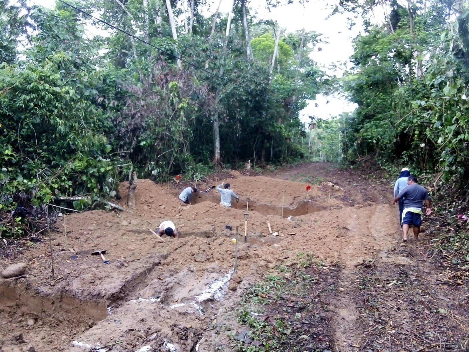 IMG_20201119_075243 scaled