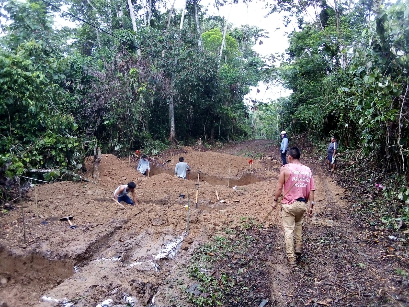 IMG_20201119_075253 scaled