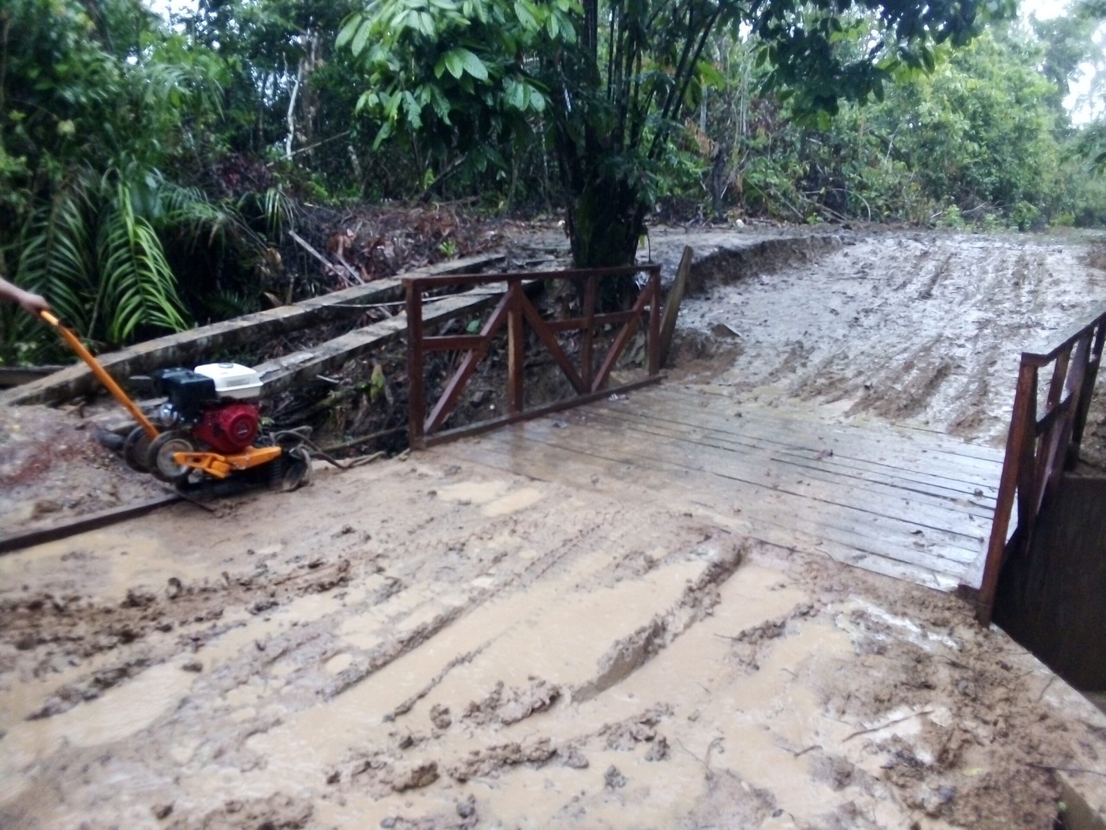 IMG_20201215_072331 scaled